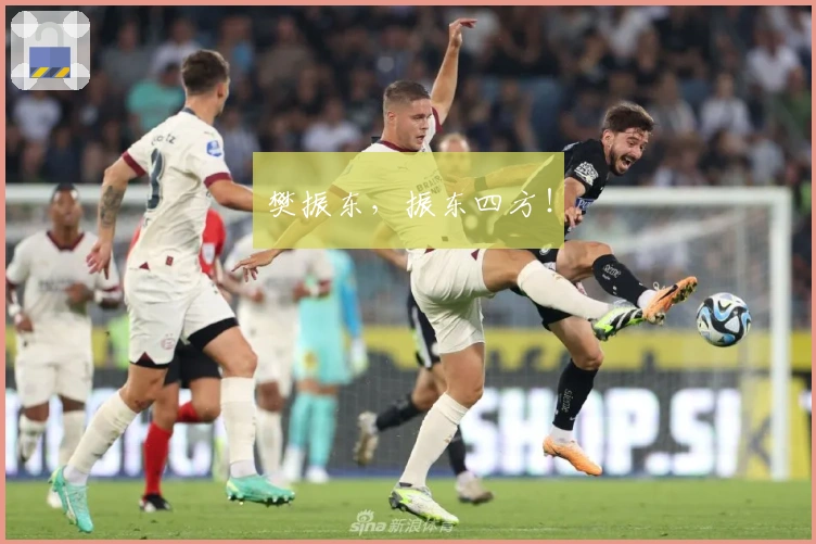 樊振东，振东四方！