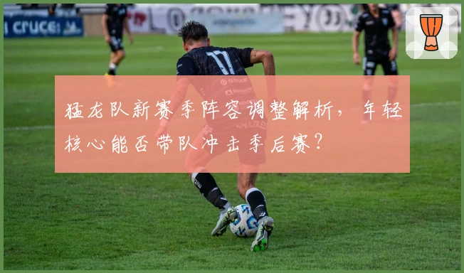 猛龙队新赛季阵容调整解析，年轻核心能否带队冲击季后赛？