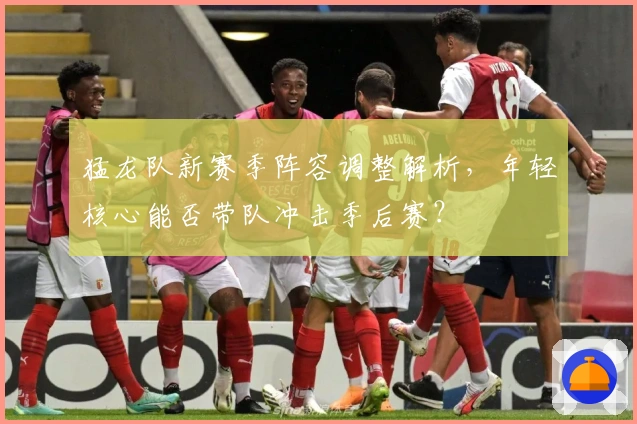 猛龙队新赛季阵容调整解析,年轻核心能否带队冲击季后赛?